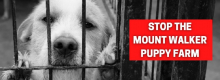 Stop the Mount Walker Puppy Farm